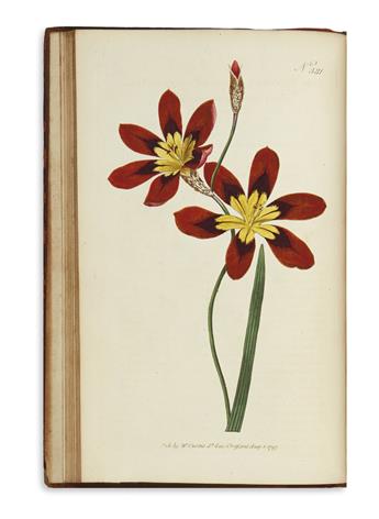 CURTIS, WILLIAM. The Botanical Magazine; or Flower Garden Displayed.